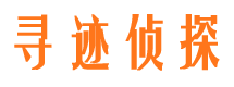 宁都市调查公司